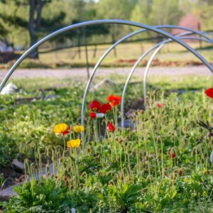 High-quality Galvanized Zinc Iron Greenhouse Hoop with Easy-Grip Clips