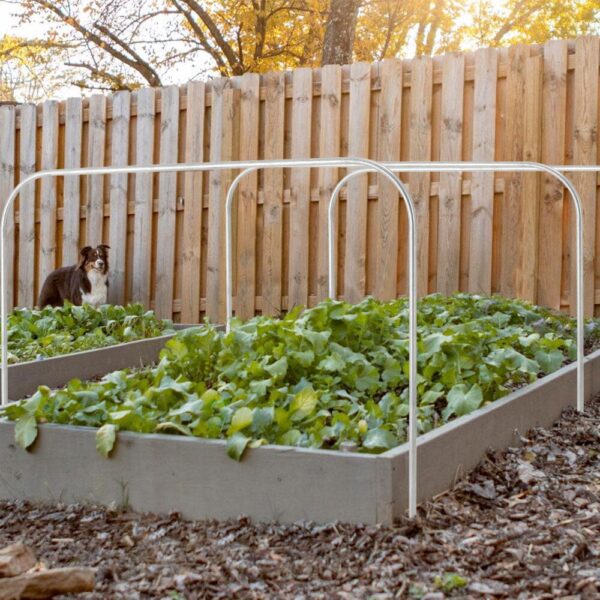 High-quality Galvanized Zinc Iron Greenhouse Hoop with Easy-Grip Clips